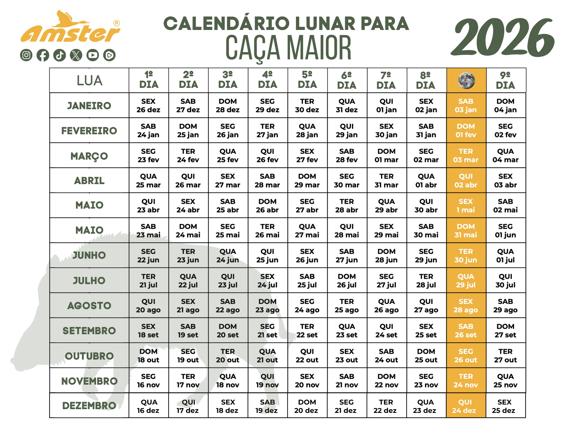 Calendário Lunar Amster 2025