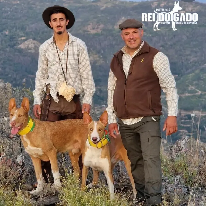 Matilhas Rei do Gado