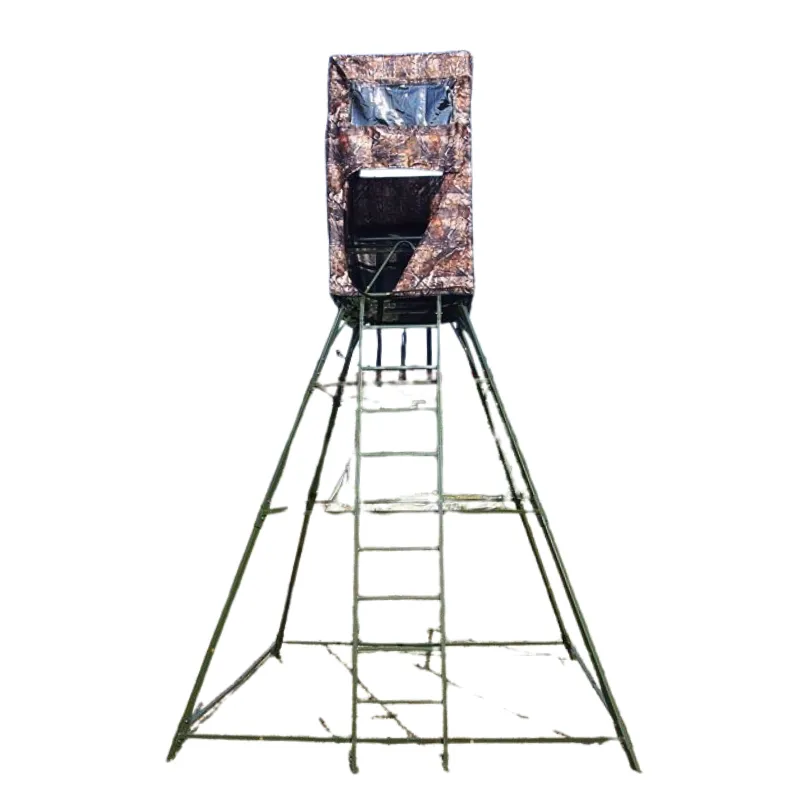 Palanque/ Escada Espera