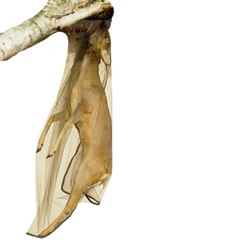 Rede Mosqueira Veado