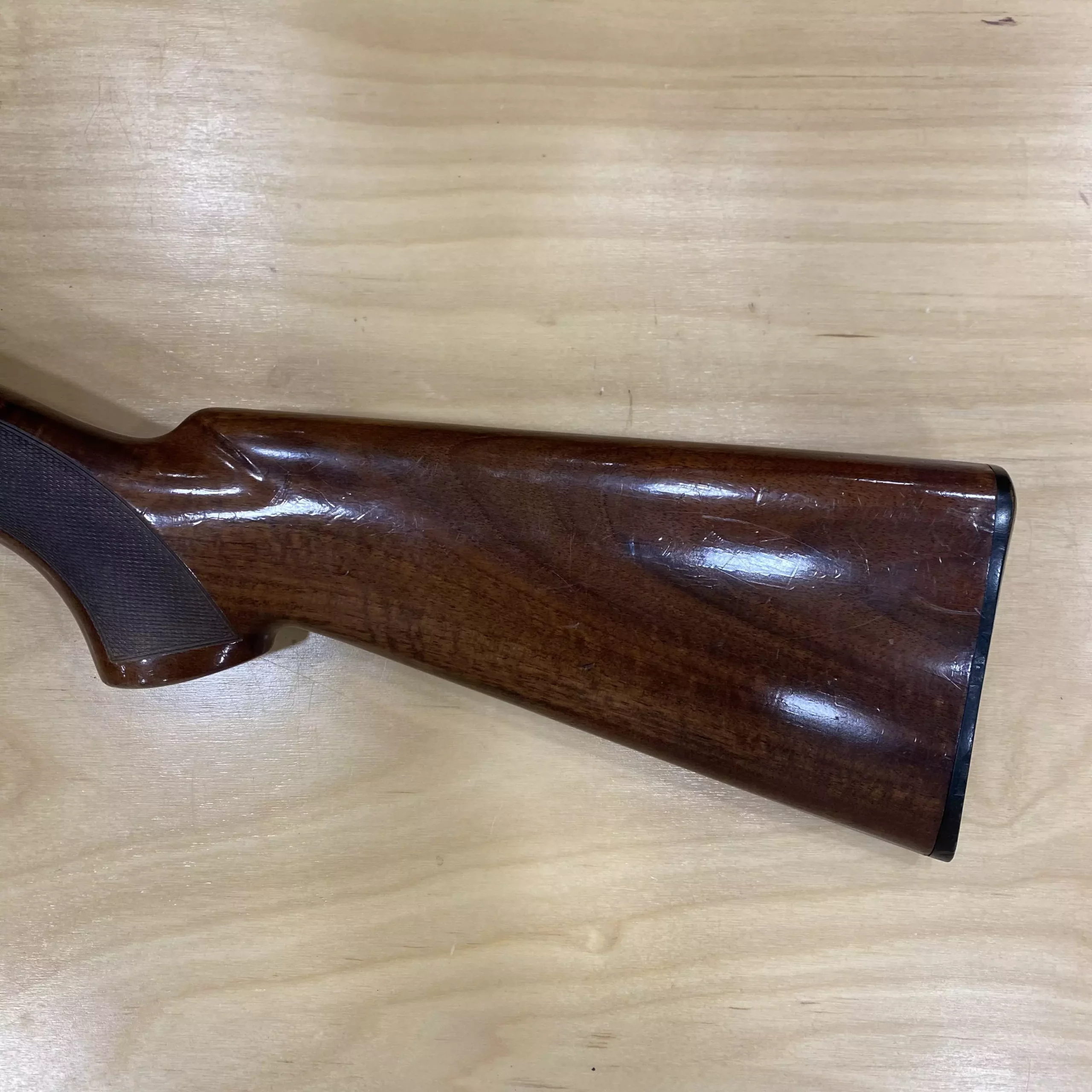 AnyConv.com__IMG_E1005