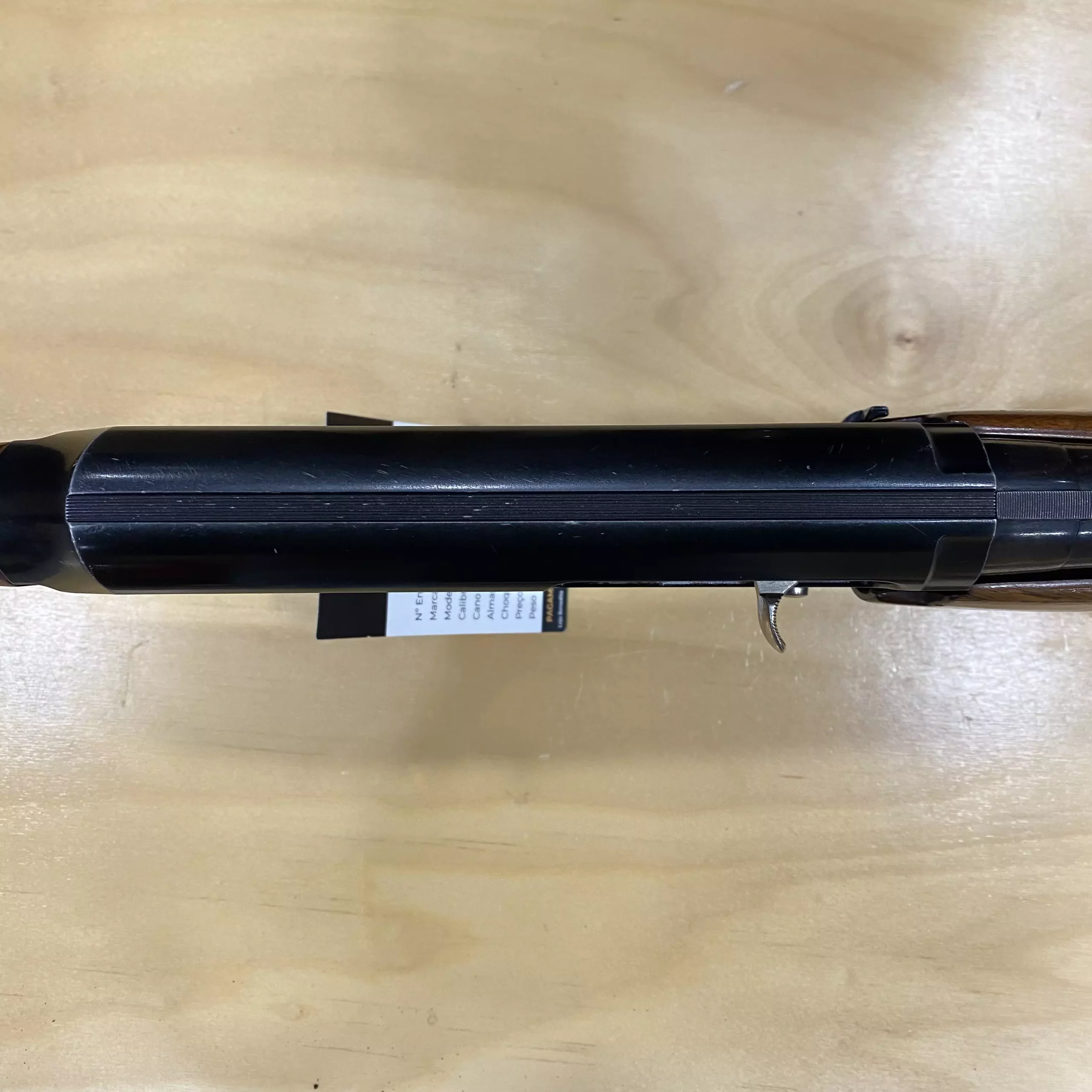 AnyConv.com__IMG_E1008