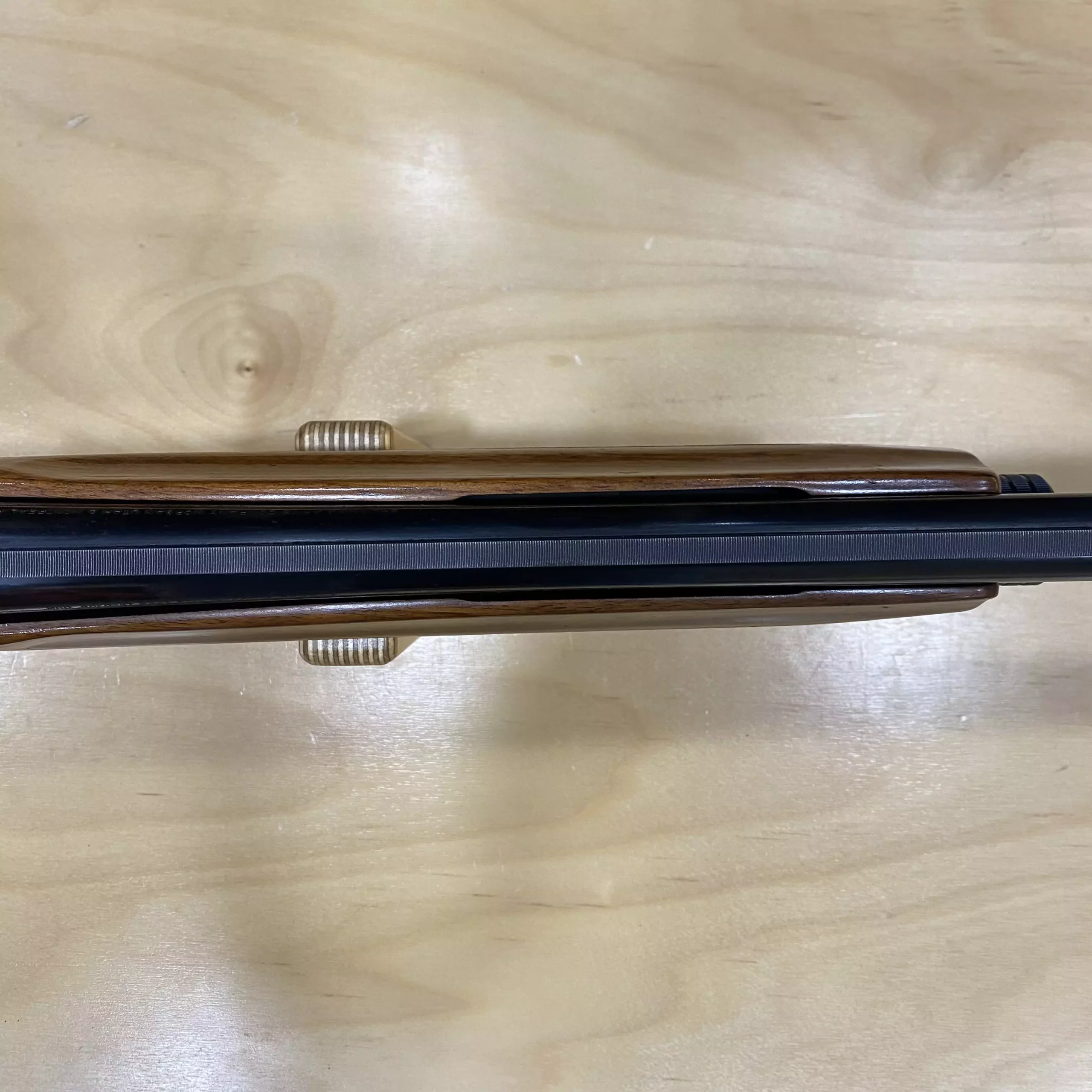 AnyConv.com__IMG_E1010