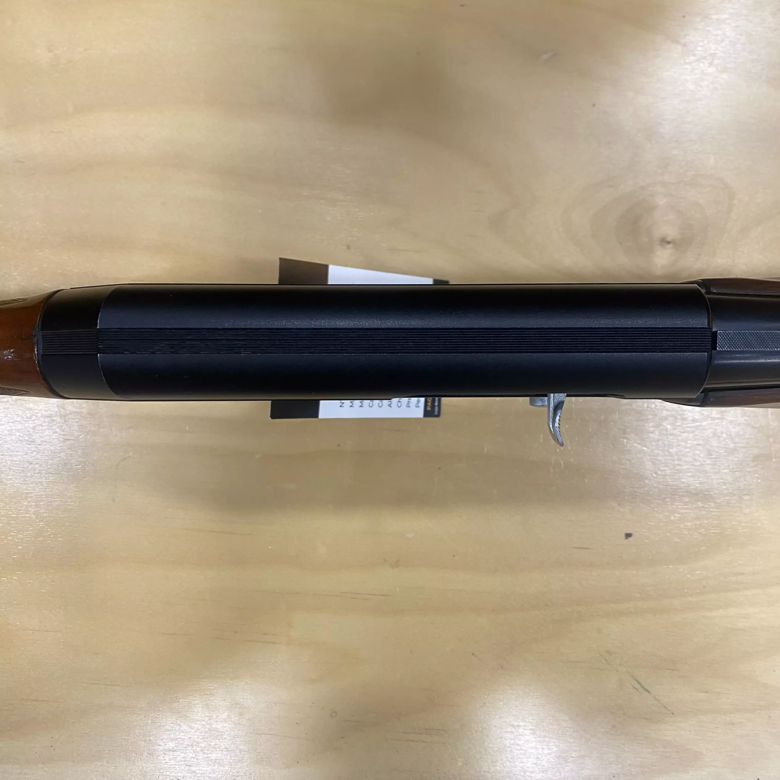 AnyConv.com__IMG_E1076