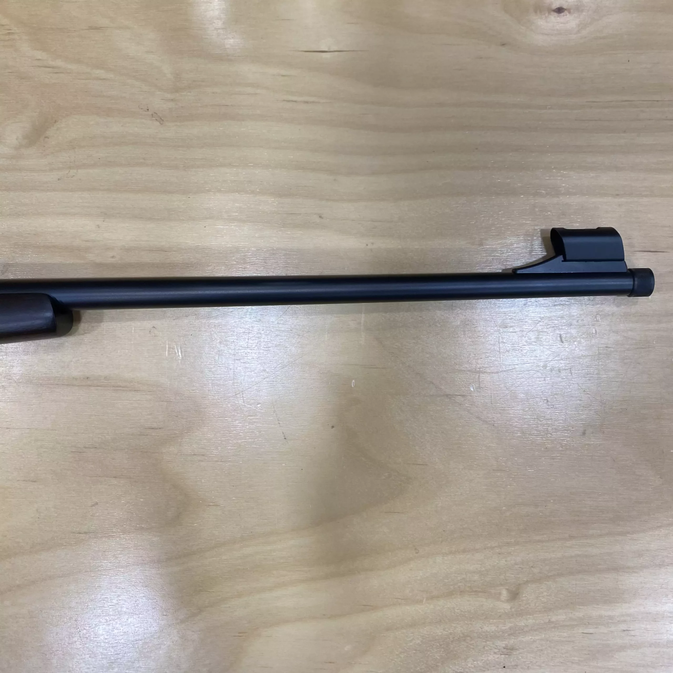 AnyConv.com__IMG_E1163