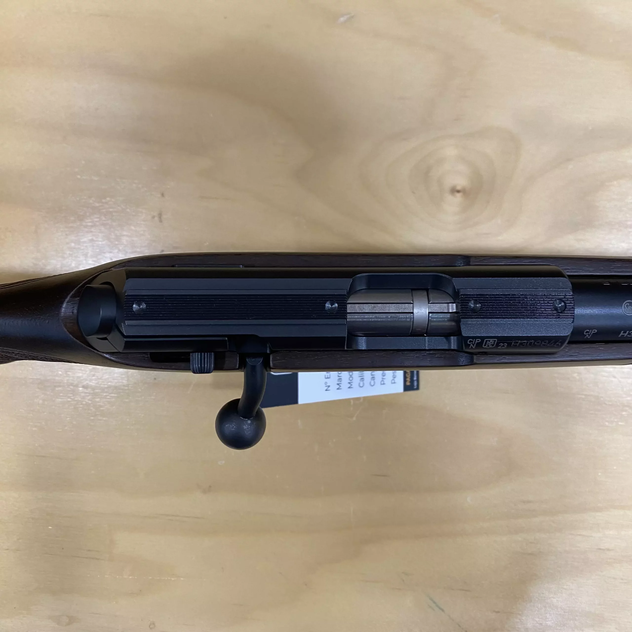 AnyConv.com__IMG_E1168