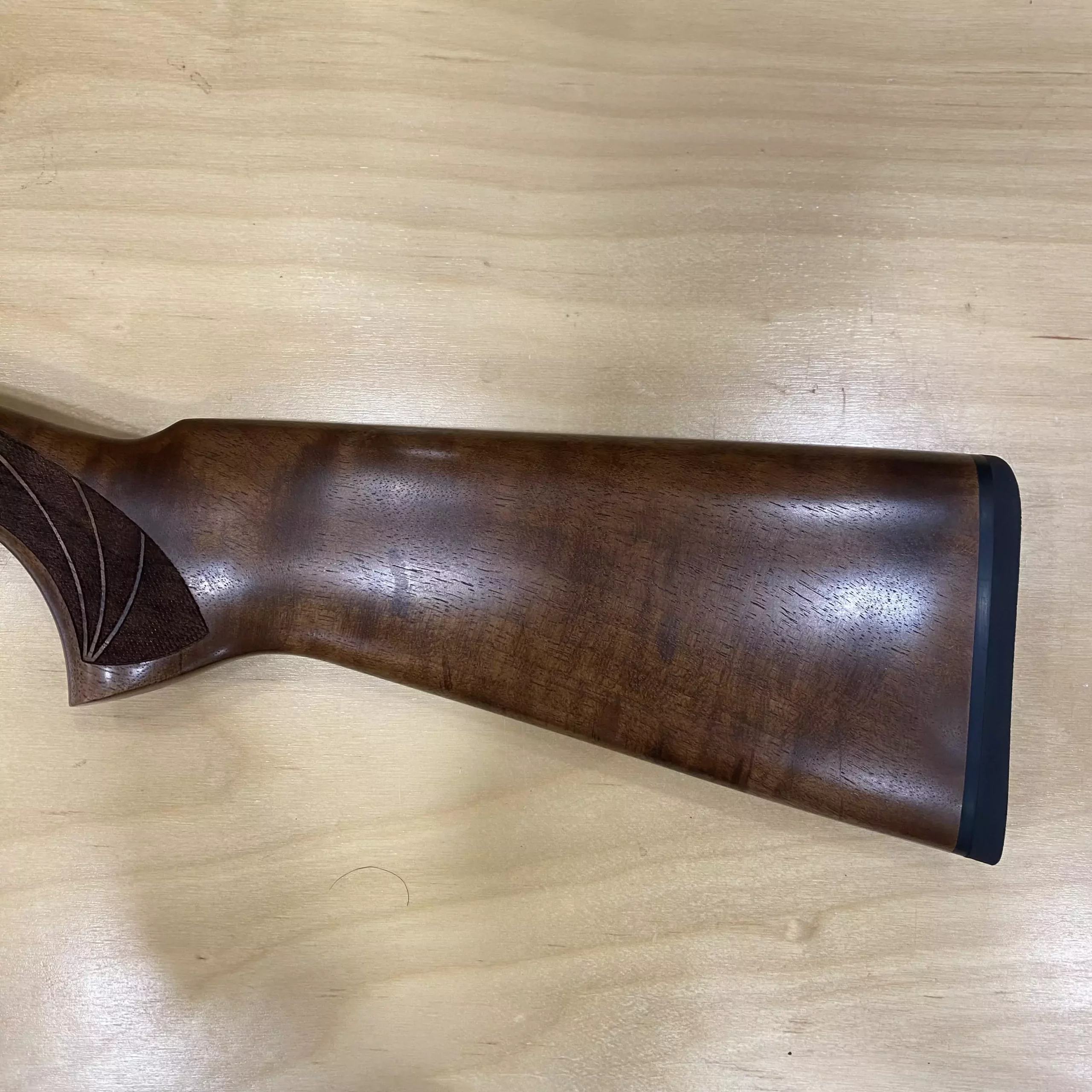 AnyConv.com__IMG_E1204