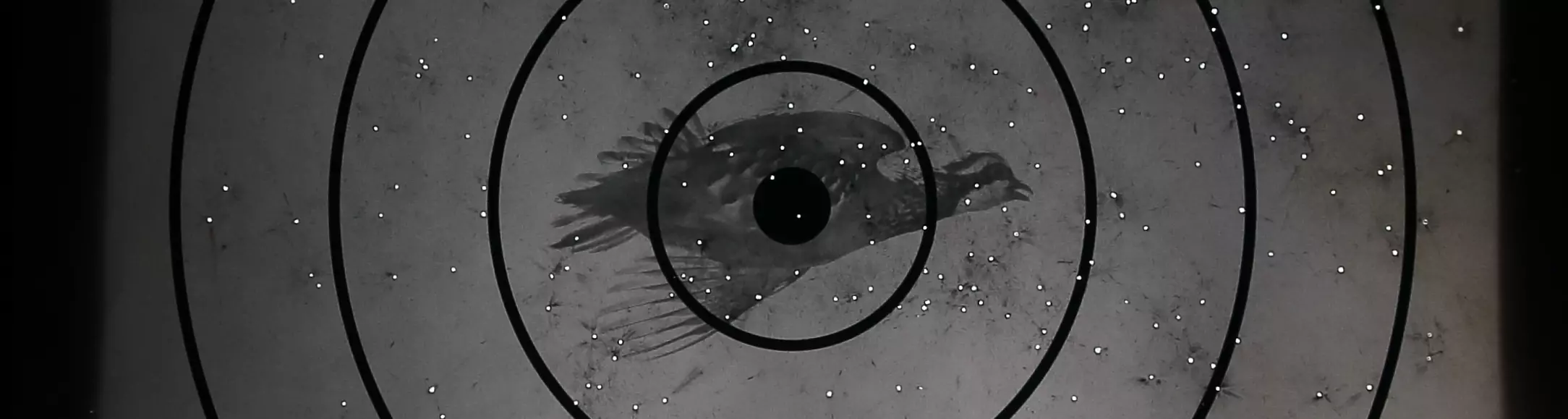 Teste de Chumbada de Cartuchos Amster e Fiocchi