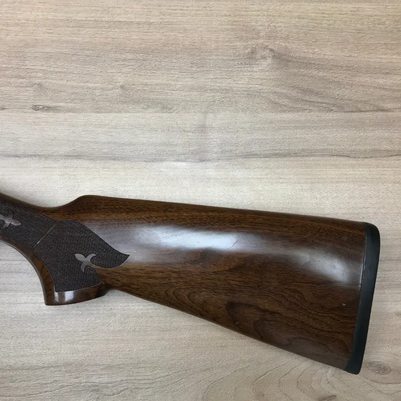 AnyConv.com__coronha